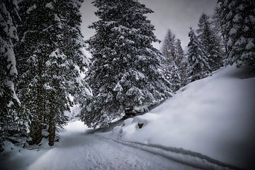 Bavarian Winter's Tale X van Melanie Viola