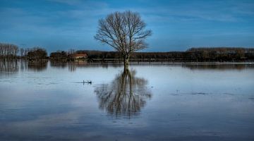 lanschap langs de ijzer