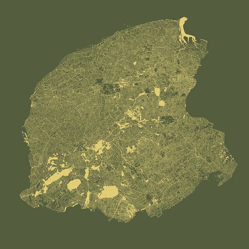 Waterkaart van Friesland in Groen en Goud
