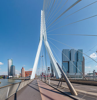 Die Erasmus-Brücke, moderne Architektur Kop van Zuid, Rotterdam, Südholland, Niederlande