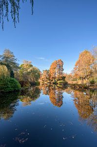Herbst in Amstelveen