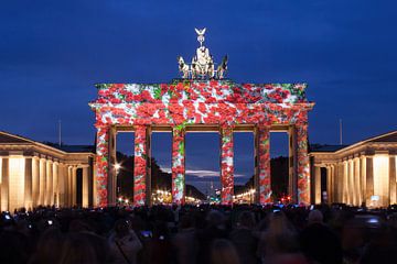De Brandenburger Tor in een bijzonder licht van Frank Herrmann