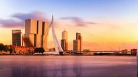Erasmusbrug panorama in Rotterdam van Erwin Lodder thumbnail