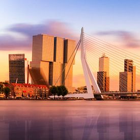 Panorama der Erasmusbrücke in Rotterdam von Erwin Lodder