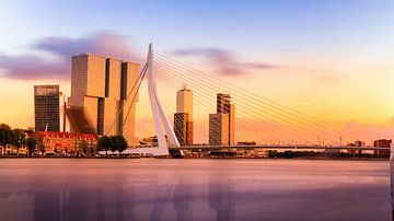 Panorama der Erasmusbrücke in Rotterdam von Erwin Lodder