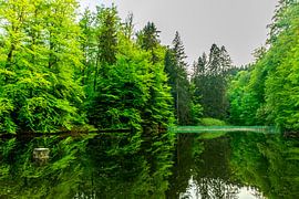 Summer cycle tour through the Schmalkalden countryside to Werratal near Fambach - Thuringia - Germany