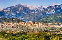 Prachtig uitzicht op Selva dorp op Mallorca van Alex Winter thumbnail