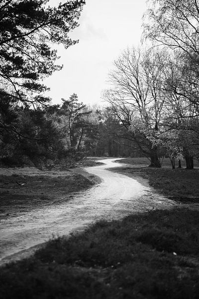 Landschap Wezepsche Heide van S van Wezep