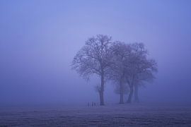 Matinée floue sur Yen Do