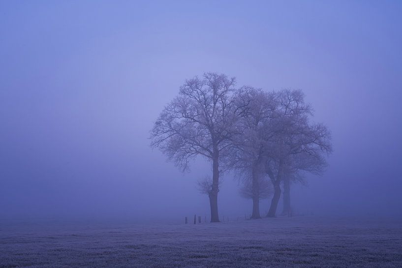 Matinée floue par Yen Do