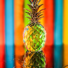 Colorful pineapple by Marielle Jurvillier