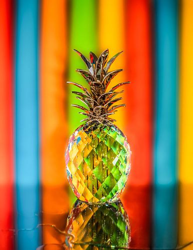 Colorful pineapple by Marielle Jurvillier