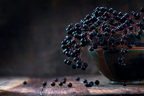 Schwarzer Holunderbeerenstrauß (Sambucus nigra) in einer alten Tonschale und einige Beeren auf einem