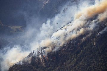 Incendie de forêt, Riederhorn, Suisse sur Imladris Images