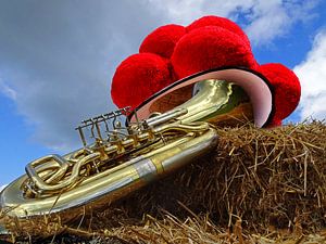 Die Tuba und der Bollenhut 3.0