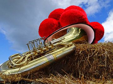 The tuba and the Bollenhut 3.0 by Ingo Laue
