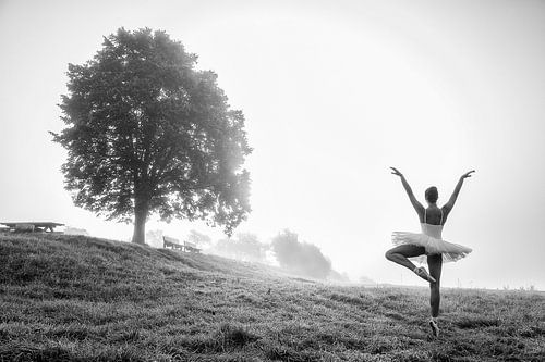 Balletdanseres in de ochtendmist