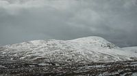 Plus de neige sur le chemin.