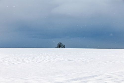 Winterlandschap met sneeuw en een enkele boom zonder bladeren