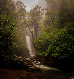 Costa Rica – wo Natur, Abenteuer und pure Schönheit aufeinander treffen