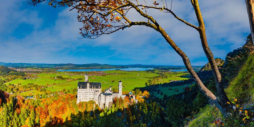 Kasteel Neuschwanstein van Walter G. Allgöwer
