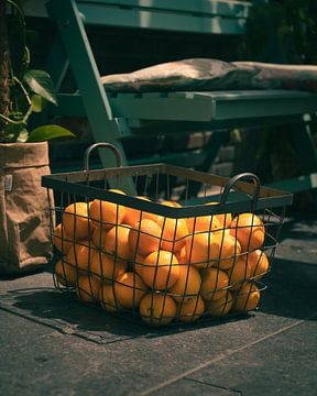 Basket of Oranges by Roel Timmermans