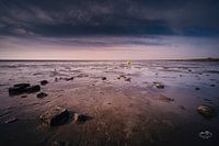 Das Wattenmeer bei Ebbe, Ameland