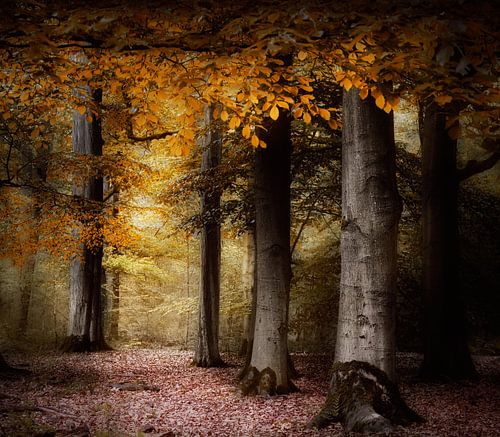 Return To Innocence