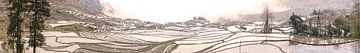 rijstterrassen van yunnan van Stefan Havadi-Nagy