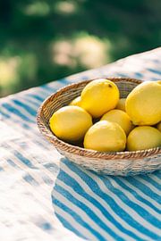 Lemon basket by Poster Art Shop