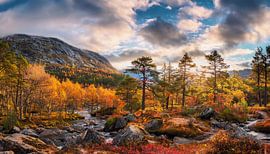 Herfstlandschap met kleuren