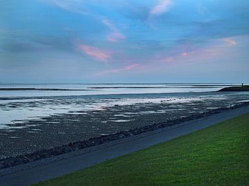 Waddendijk, Terschelling  van Rinke Velds