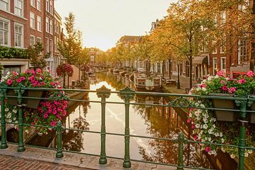 Leiden in autumn by Dirk van Egmond