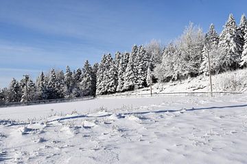 The winter recreation area by Claude Laprise