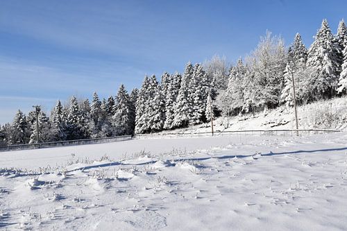 Het winterrecreatiegebied