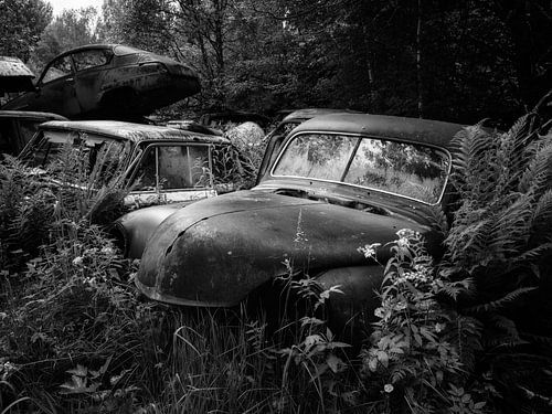 Verlassen im Wald von Maikel Brands