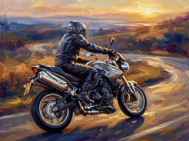 Triumph Tiger 1050 Touring bei Sonnenuntergang