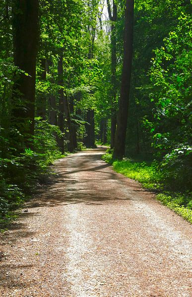 Schöner Weg von Thomas Jäger