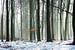 Bos in de winter von Michel van Kooten