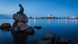 The Little Mermaid by Scott McQuaide