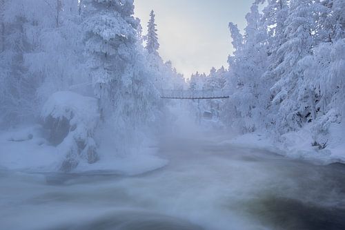 Fins Lapland