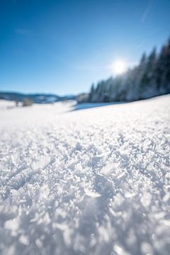Sneeuwkristallen bij Oberstaufen van Leo Schindzielorz