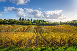Chianti-Weinberge bei Sonnenuntergang. Toskana, Italien