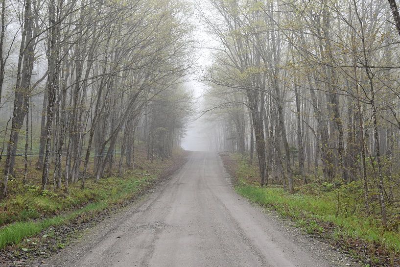 Eine Landstraße im Frühling von Claude Laprise