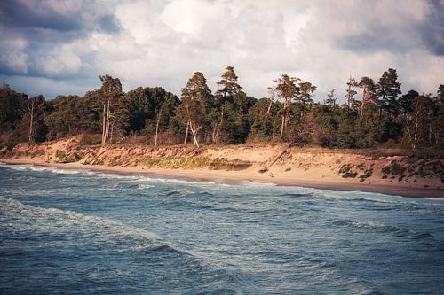 Rauwe Baltische Kustlijn – Waar het Bos de Zee Ontmoet