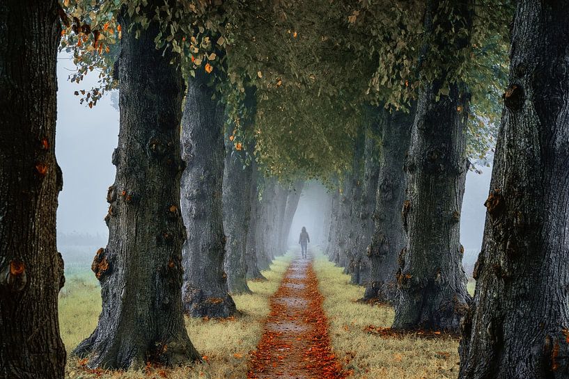 Among Friends van Lars van de Goor