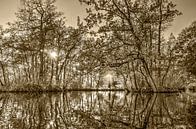 Herbst in Woerden - sepia von Frans Blok Miniaturansicht