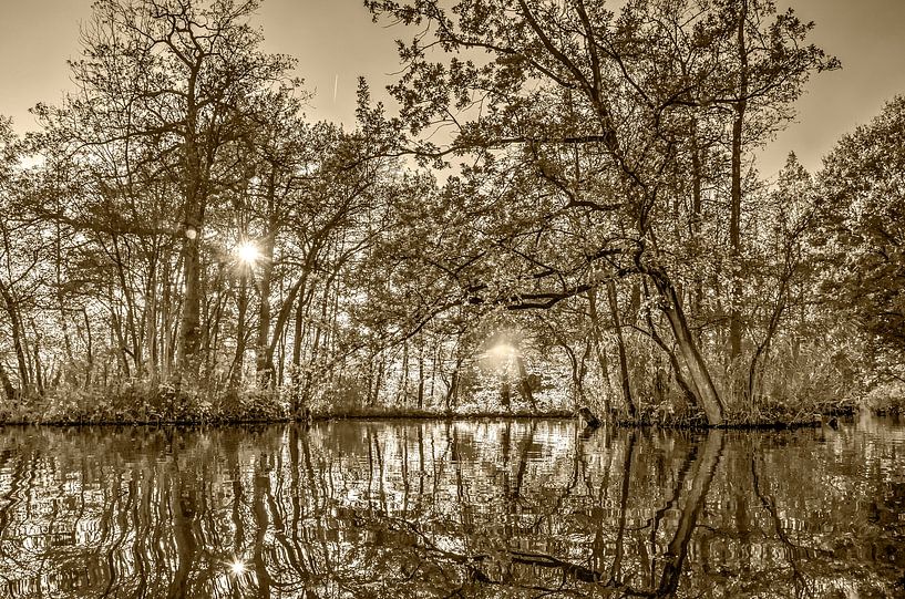 Herfst in Woerden - sepia van Frans Blok