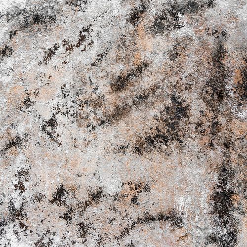 Quadratischer Tiger Abstraktes Kunstwerk