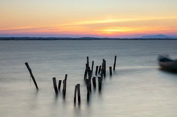 Poteaux en bois dans l'eau au coucher du soleil